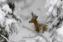 Winterparcours-2019-20 Winterparcours-2019-20